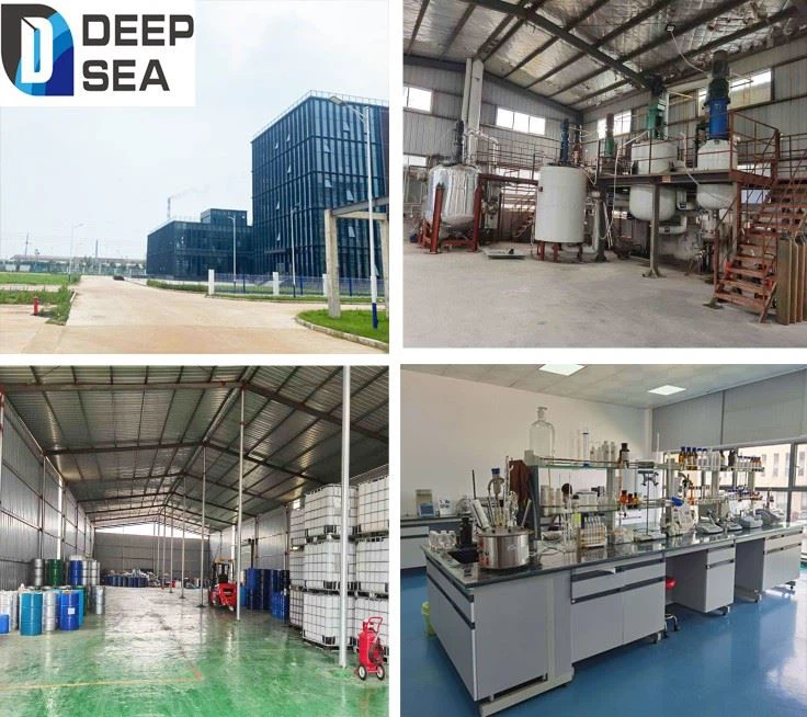 Company overview